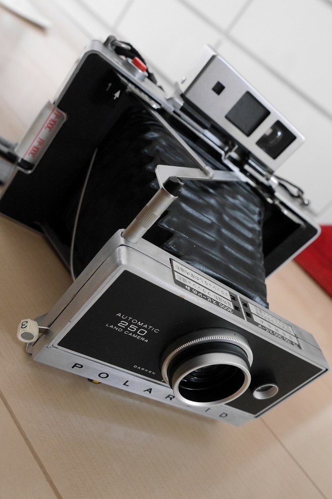 蛇腹のポラロイドカメラ(´・ω・`)ノ POLAROID250: はちさんなつさん 蛇腹のポラロイドカメラ(´・ω・`)ノ POLAROID250: はちさんなつさん